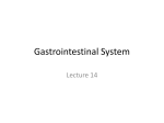 Gastrointestinal System - Porterville College Home