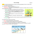 Trophic Levels Food Chains , Webs and Pyramids