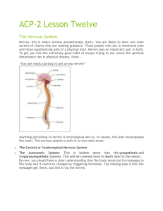 ACP Level 2 Lesson Twelve