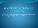 Visualization of the Cell Activity