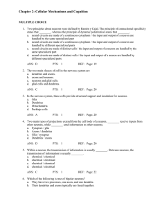 Cognitive-Neuroscience-3rd-Edition-Gazzaniga-Test