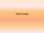 Test Cross