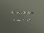 Nervous System