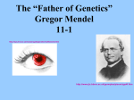 Mendel Discovers “Genes” 9-1