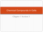 Chemical Compounds in Cells