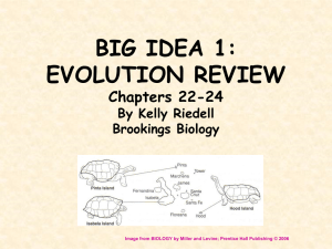 divergent evolution