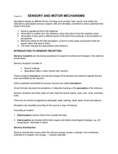 Chapter 49 Sensory and Motor Mechanisms