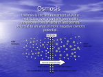 Osmosis