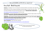 2580-Live Lab Stick Unit 1 Worksheet