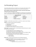 Cell Modeling Project_advanced