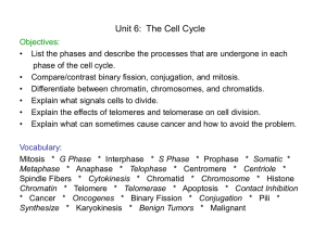 Advanced Biology\AB U6 Cell Cyle Mitosis