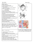 FINAL EXAM II Review Guide