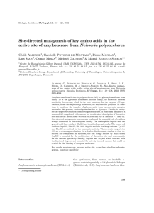 Site-directed mutagenesis of key amino acids in the active site of