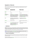 Apoptosis vs Necrosis