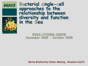 A) Why bacterial diversity - CMIMA