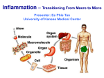 What Triggers Inflammation?