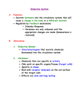 Endocrine System