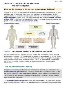 Page | 1 CHAPTER 2: THE BIOLOGY OF BEHAVIOR The Nervous