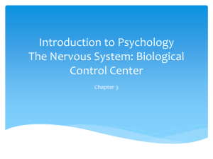 Introduction to Psychology The Nervous System: Biological Control