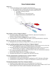 Power Trialysis Catheter