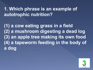 1. Which phrase is an example of autotrophic