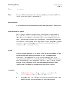 Final Project Outline Aaron Loewen 33334137 Name: Aaron