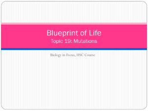 chromosome mutations.