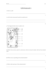 Cells Homework 1