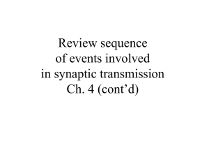 Neural Conduction