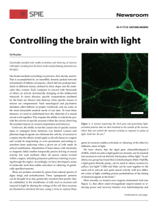 Local Copy - Synthetic Neurobiology Group