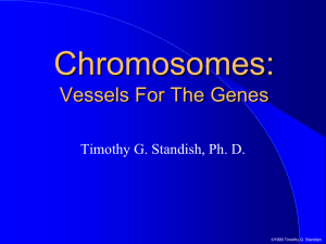 Chromosome Theory