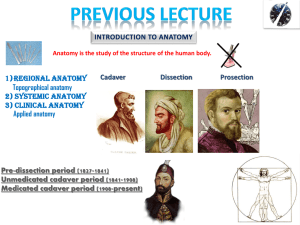 2 bones - Yeditepe University Pharma Anatomy