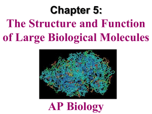 Chapter 5 - My Teacher Site