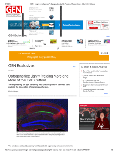 Local Copy - Synthetic Neurobiology Group