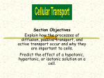 Osmosis: Diffusion of Water