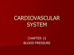 blood pressure notes