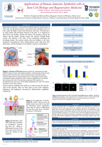 Applications of Human Amniotic Epithelial cells in Stem Cell Biology