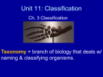 Classification - Mrs. GM Biology 200