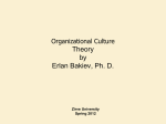 Chapter 1: Introducing Organization Theory: What is it and why does