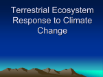 Terrestrial Ecosystem Response to Climate