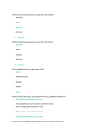 1) Which level of measurement is required for the median? A