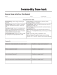 Energy in the Food Chain Handout