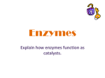 Enzymes