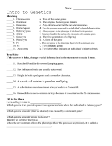 Term 3 Review Packet