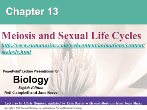 meiosis I - CARNES AP BIO