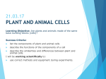 17-03-21 Plant and animal cells