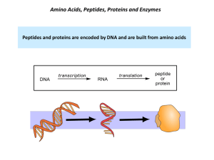 Secondary Structure of Proteins