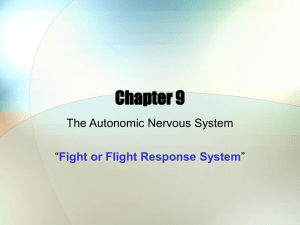 The Autonomic Nervous System