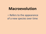 Macroevolution