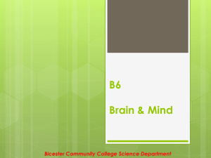 B6 – Brain and mind - The Bicester School